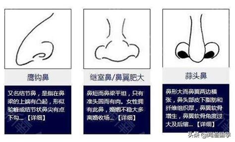 鼻子紅面相|面相學之鼻型解析、全面解讀鼻子與命運